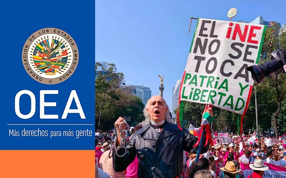 Fortaleza y profesionalismo del INE: OEA