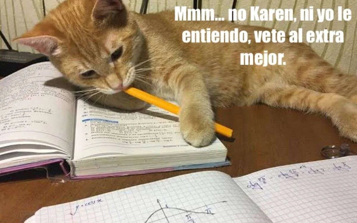 Meme gatito matematicas