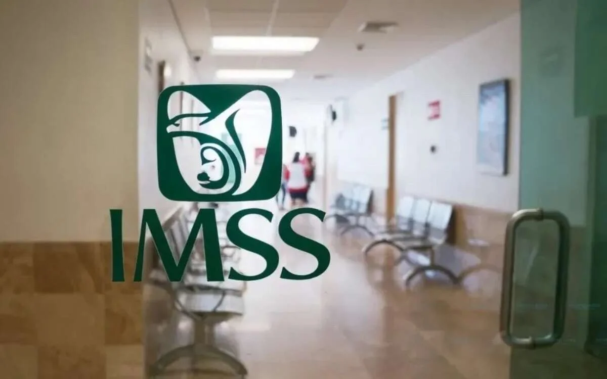 IMSSA 2