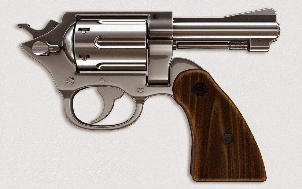 El voto es un arma….cargada