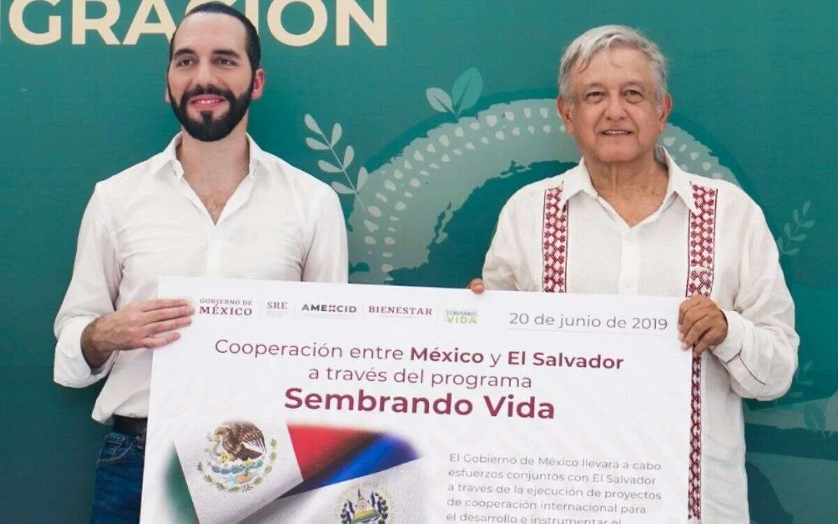 Sembrando vida 1
