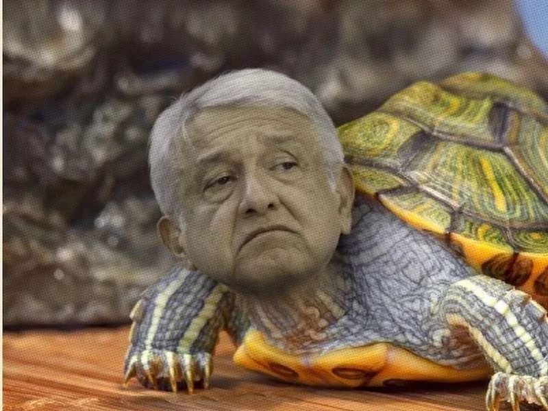 ¡Nuestro modelo será adoptado en todo el mundo!