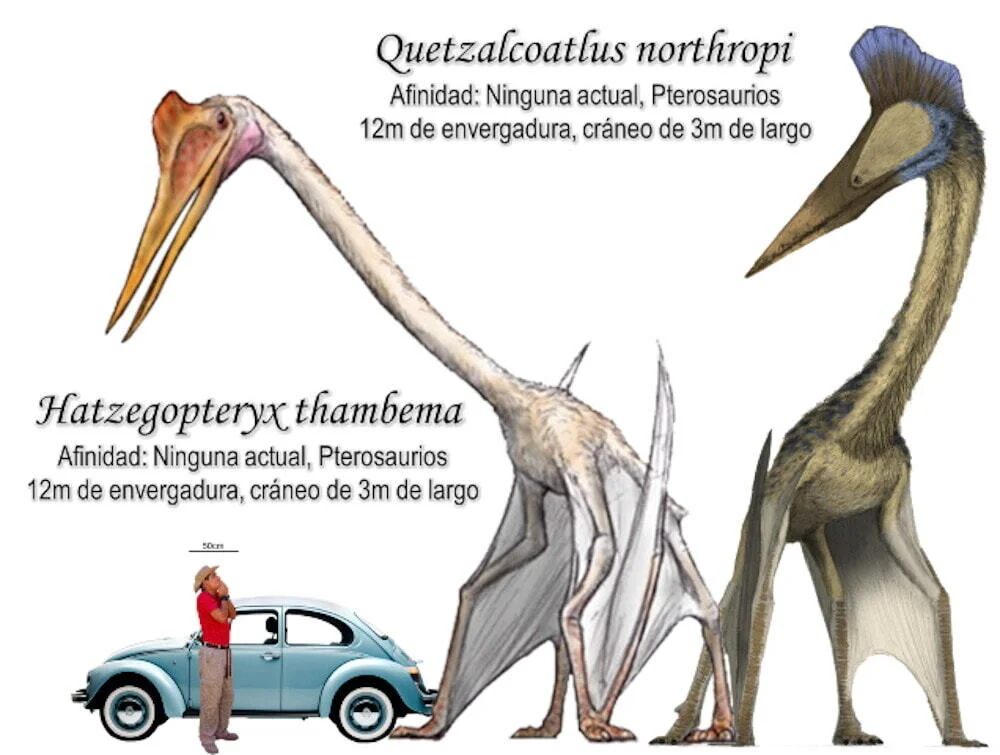 que01