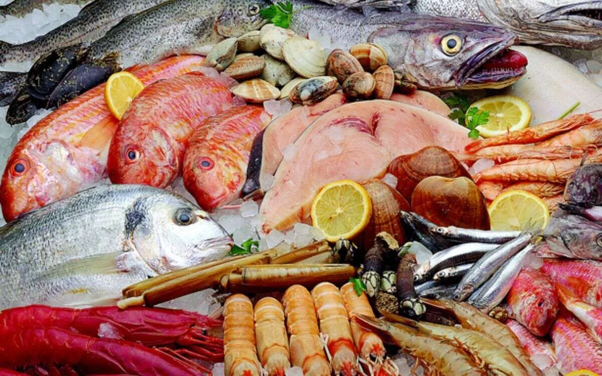 pescados y contaminantes Meridiano 70 1