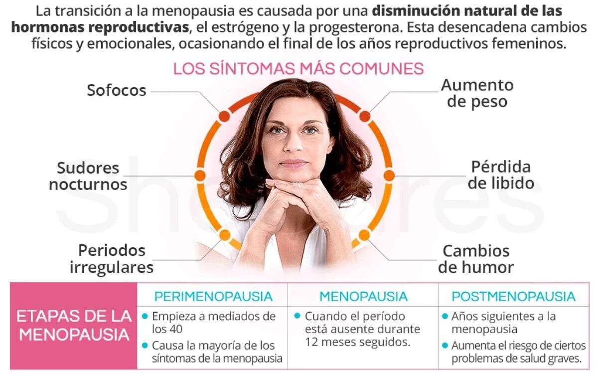 transicion a la meno 2