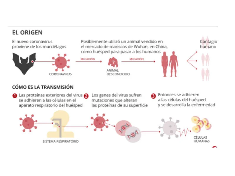 Contagio c