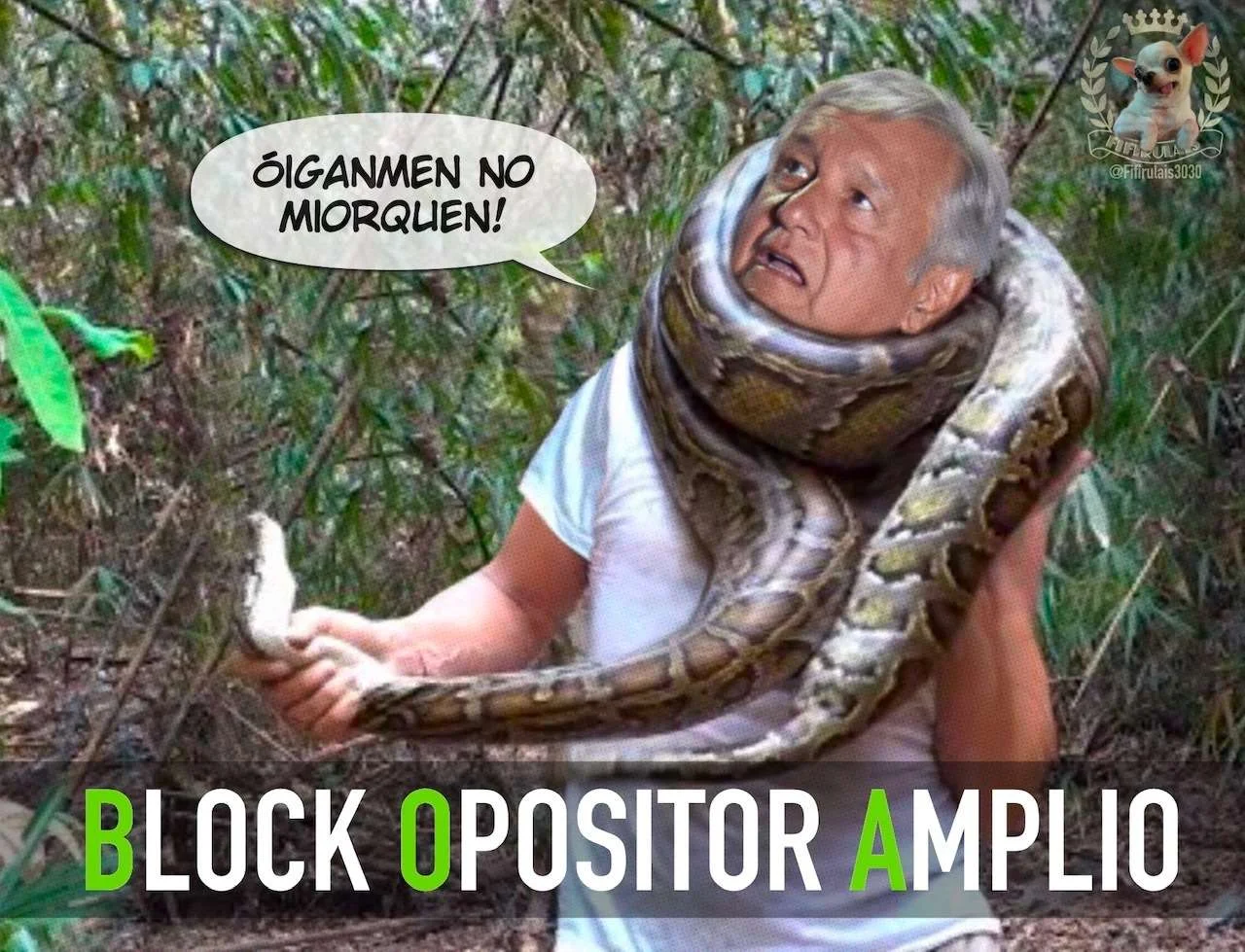 BOA 1