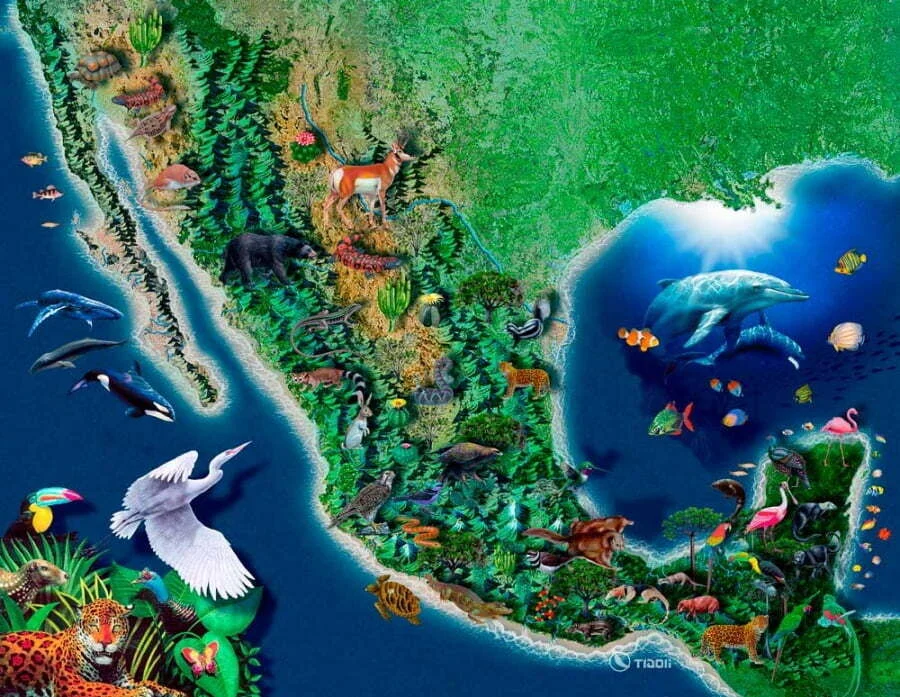 Articulo 1 biodiversidad mexico MEXICO SOCIAL