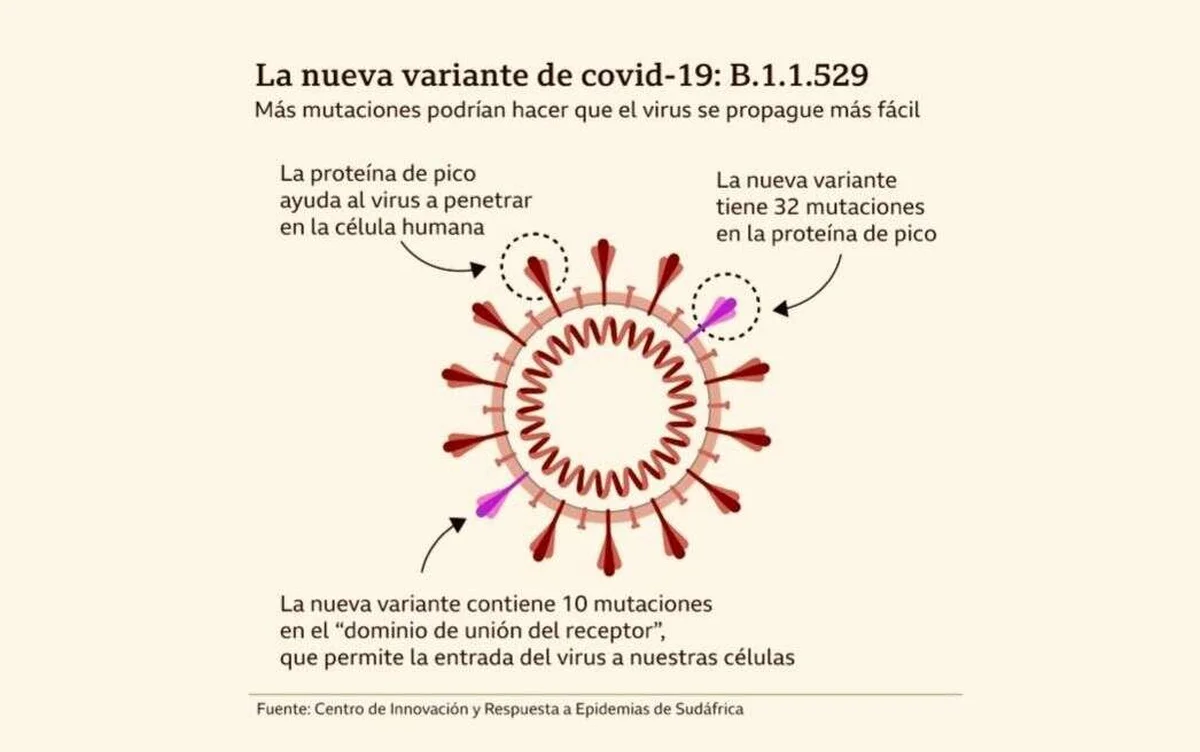 Nueva variante