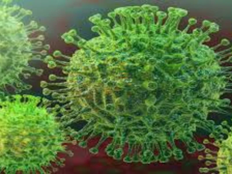 Coronavirus virus 1