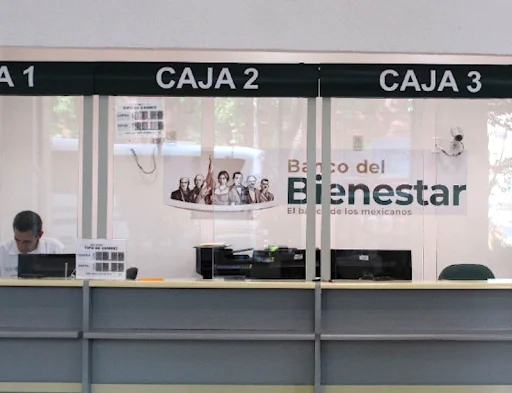 consulta