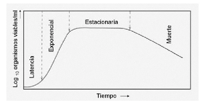 matemático2.jpg