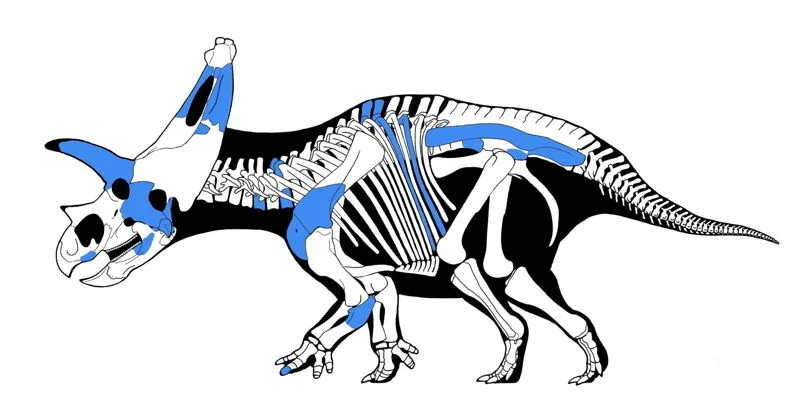 sie05