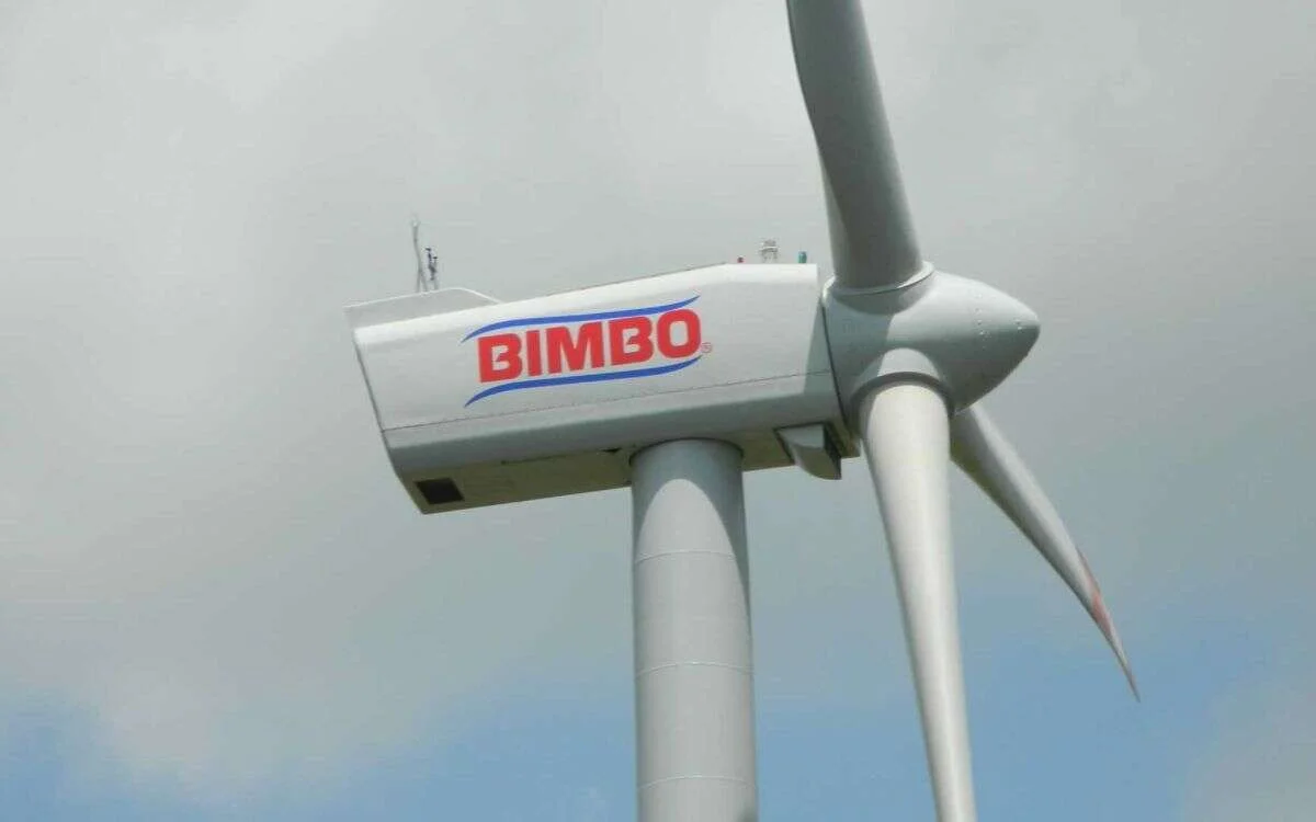 Bimbo 1