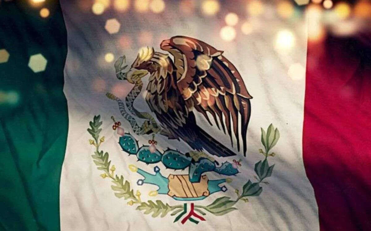 bandera 1