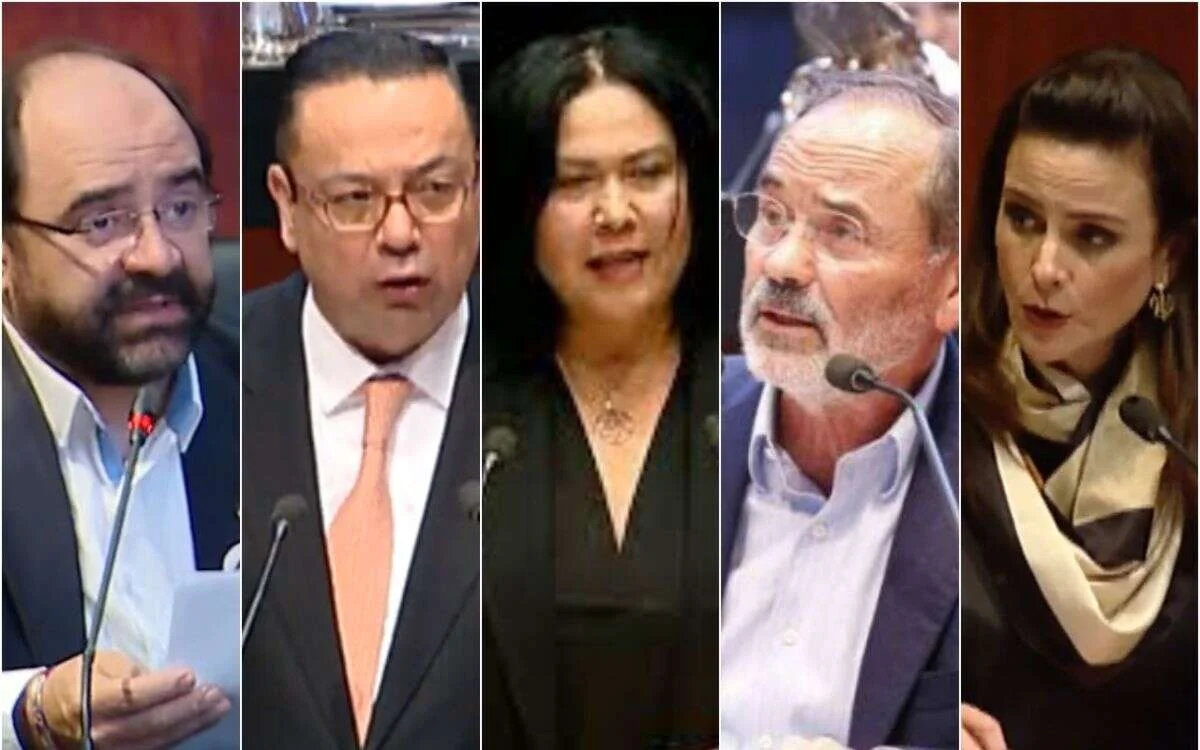 grupo parlamentario plural 1