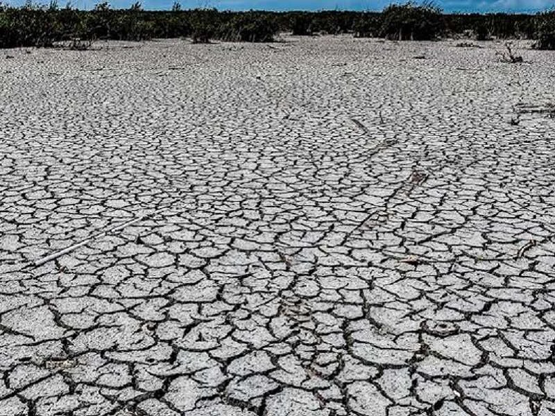 La Brutalidad de López hacia los estados del Norte.