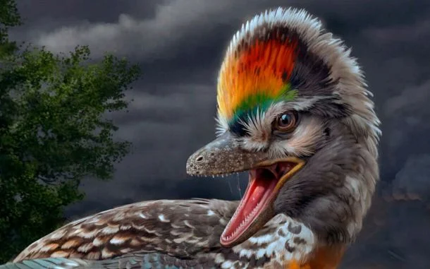 Fujianvenator prodigiosus, un "pájaro" de patas largas