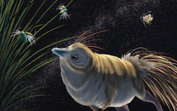 Los dinosaurios también amaban vivir de noche.