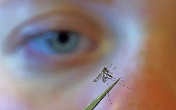 Ciencia vs Mosquitos