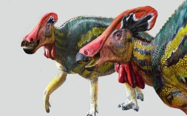Tlatolophus galorum, el dinosaurio platicador mexicano.